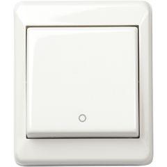 Bryter 2 Polt 8024 ,På Vegg