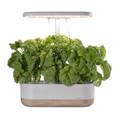 Greenline Urban Growing Hydroponisk dyrkingssett P10